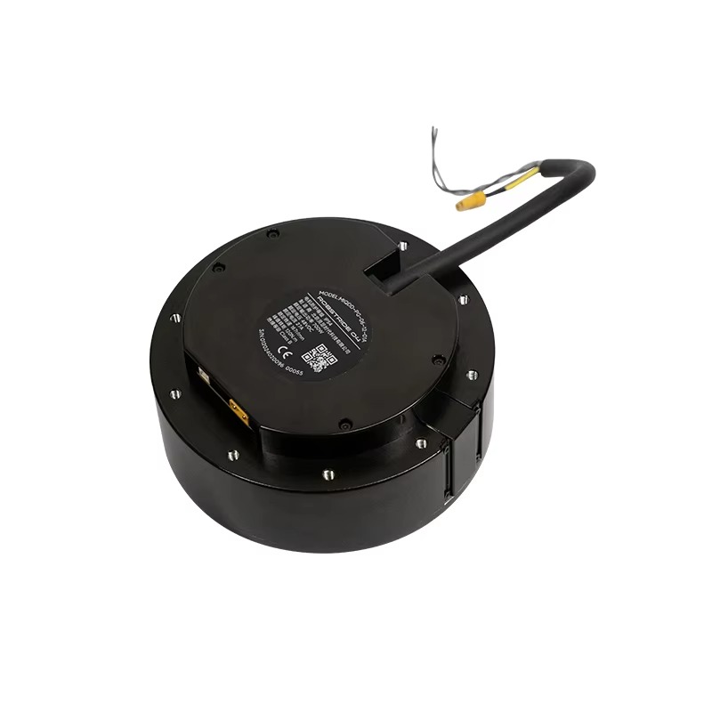 Motor Driver Module - Nuovo motore completo 200 giri/min 10%
