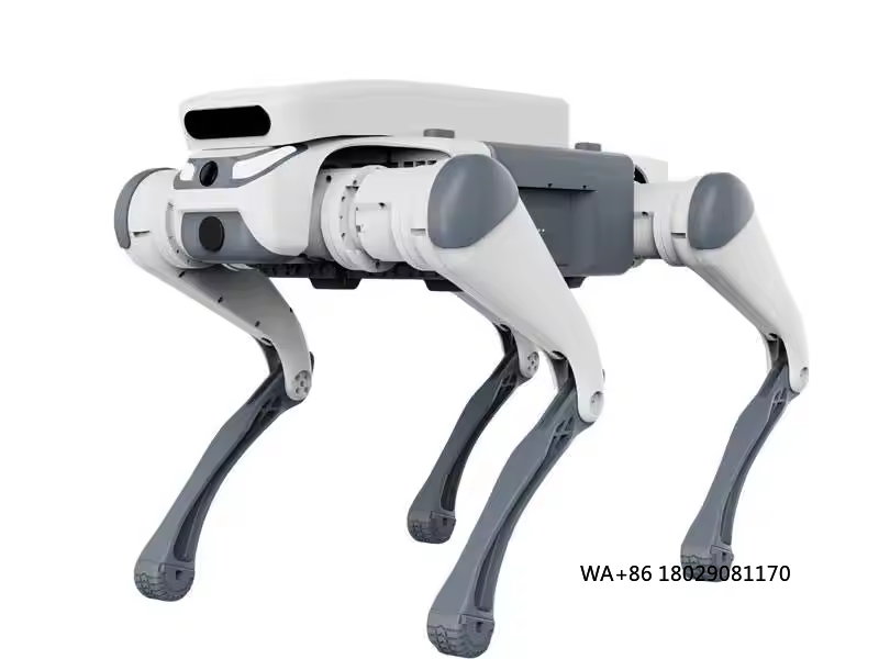acrobatico telecomando giocatt - Robot Remote Control recensione e prezzo
