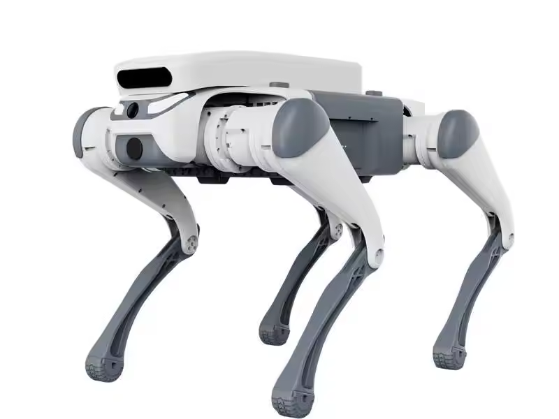 acrobatico telecomando giocatt - Robot Remote Control recensione e prezzo
