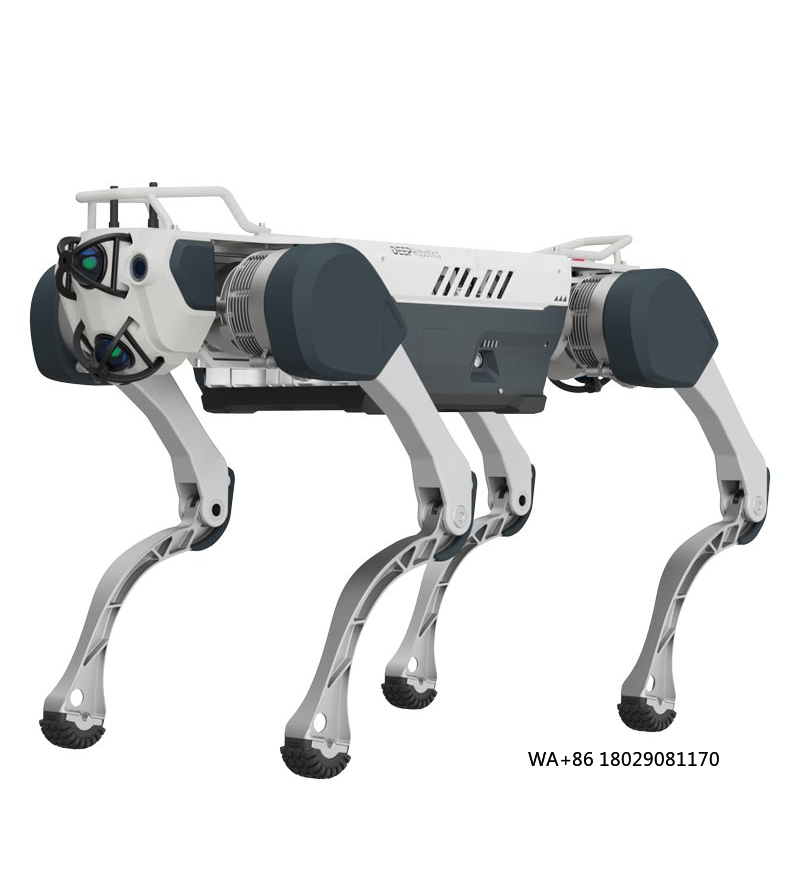 Ottieni l'intelligenza artific - Robot Remote Control recensione e prezzo