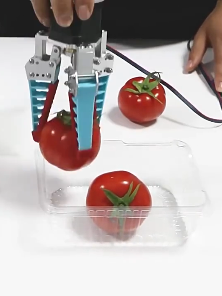 Il più nuovo braccio meccanico - Robot Arm Kit recensione e prezzo